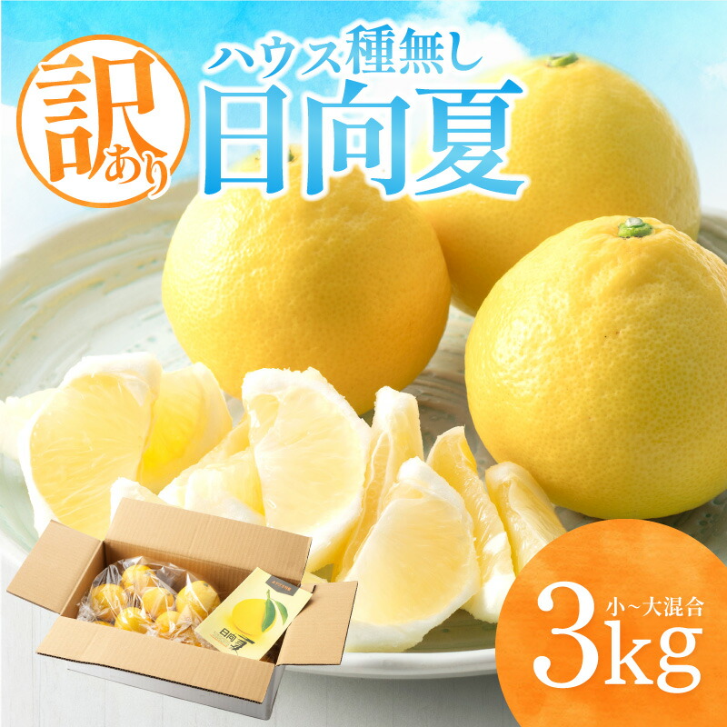 楽天市場】【ふるさと納税】《2026年発送 先行予約》【数量・期間限定