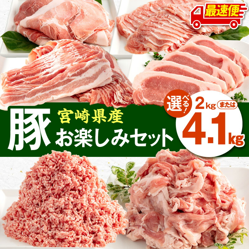 【ふるさと納税】【内容量・発送時期が選べる】宮崎県産豚肉 お楽しみセット ロース バラ モモ 切り落とし ミンチ 豚肉 豚 肉 セット 詰め合わせ バラエティ 豚肉セット 普段使い 冷凍 小分け パック|宮崎県宮崎市