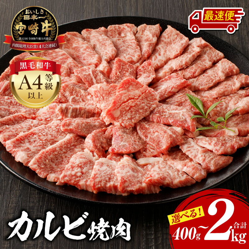 【ふるさと納税】《選べる容量・発送時期・定期便》宮崎牛 カルビ焼肉 牛肉 肉 お肉 精肉 国産牛 ブランド牛 和牛 黒毛和牛 A4 カルビ 牛カルビ 小分け パック 使い勝手 冷凍 焼肉 BBQ アウトドア キャンプ お取り寄せ グルメ おすすめ 人気 宮崎市《レビューキャンペーン》