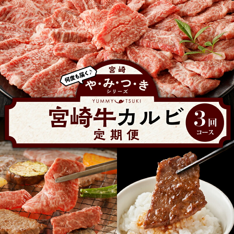 【ふるさと納税】やみつきシリーズ 宮崎牛 カルビ 定期便 国産牛 宮崎 黒毛和牛 カルビ 定期 焼肉用 焼肉 カルビ焼肉 BBQ ブランド牛 最高級 肉 お肉 牛肉 牛 人気 柔らかな食感 上品 おすすめ グルメ お取り寄せ 宮崎県 宮崎市 送料無料|宮崎県宮崎市