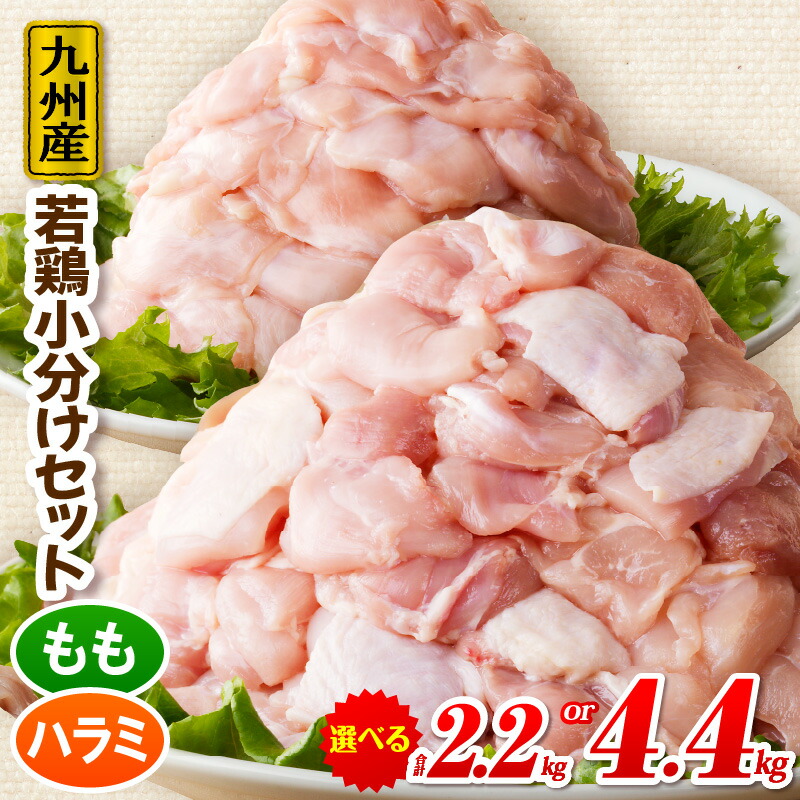 【ふるさと納税】【内容量が選べる！】九州産若どり小分けセット 鶏肉 鶏 お肉 鶏ハラミ 鶏もも モモ肉 切り身 若鶏 国産 ジューシー おかず 料理 普段使い 便利 アレンジ 唐揚げ 揚げ物 チキン南蛮 炒め物 ソテー 冷凍 パック 小分け 小分けパック 宮崎県 宮崎市 送料無料