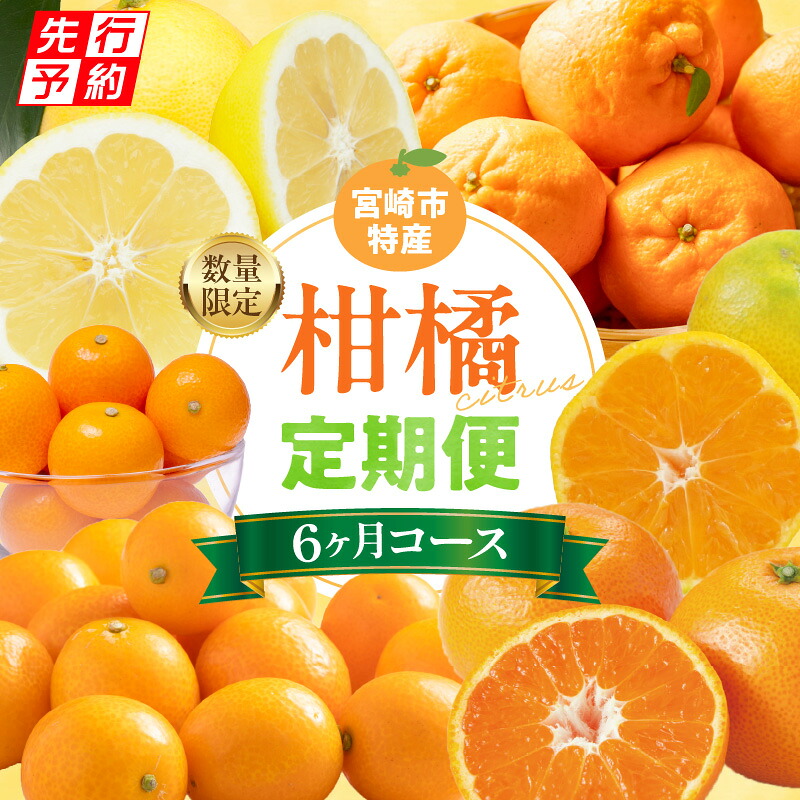 【ふるさと納税】《2026年発送 先行予約》【数量・期間限定】【定期便】宮崎市柑橘特産6ヶ月コース 柑橘 果物 フルーツ 果物定期便 フルーツ定期便 宮崎県産 名産 早生みかん みかん ぽんかん きんかん きんかんたまたま きんかんたまたまエクセレント 日向夏 種無し日向夏|宮崎県宮崎市