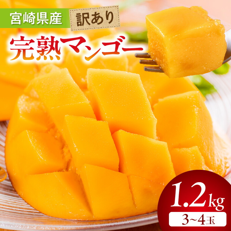 【ふるさと納税】【期間・数量限定】宮崎県産 訳あり 完熟 マンゴー 1.2kg (3～4玉)  果物 フルーツ 果実 青果物 完熟マンゴー デザート スイーツ 贈答 贈答用 プレゼント ギフト お歳暮 お中元 お祝い 内祝い グルメ お取り寄せ お取り寄せグルメ 宮崎県 宮崎市 送料無料
