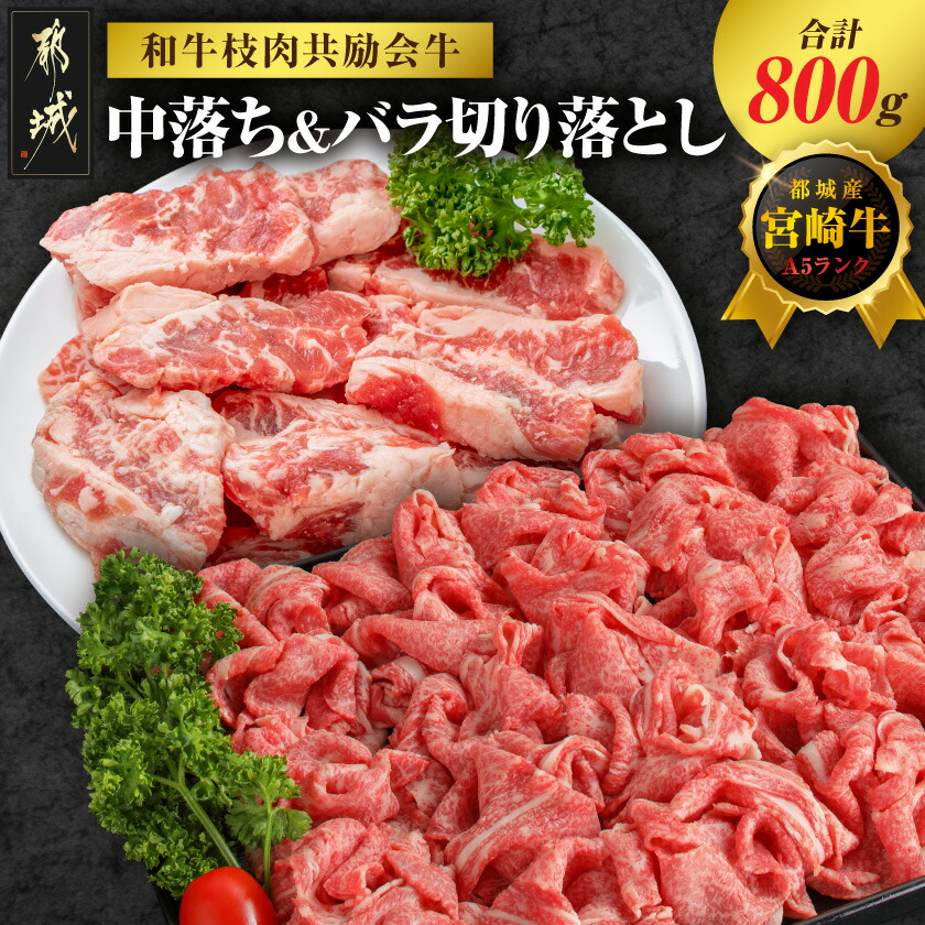 【ふるさと納税】【和牛枝肉共励会牛】(A5)宮崎牛中落ち&バラ切り落としセット - 総重量800g 都城産宮崎牛 中落ち バラ切り落とし A5ランク 国産黒毛和牛 詰め合わせセット 送料無料 17-25-006 【宮崎県都城市は2年連続ふるさと納税日本一!】