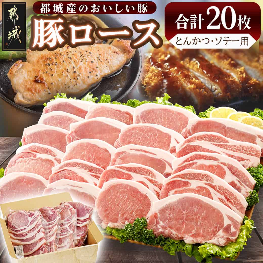 【ふるさと納税】豚ロースとんかつ・ソテー用20枚 - 豚肉 豚ロース とんかつ・ソテーに 100g×5枚入り×4パック 計20枚 豚 真空パック 冷凍保存 送料無料 AA-2506【宮崎県都城市は2年連続ふるさと納税日本一！】