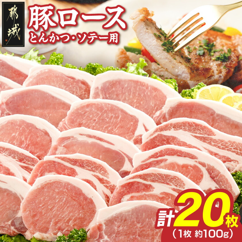 【ふるさと納税】豚ロースとんかつ・ソテー用20枚 - 豚肉 豚ロース とんかつ・ソテーに 100g&times;5枚入り&times;4パック 計20枚 豚 真空パック 冷凍保存 送料無料 AA-2506【宮崎県都城市は2年連続ふるさと納税日本一！】｜宮崎県都城市
