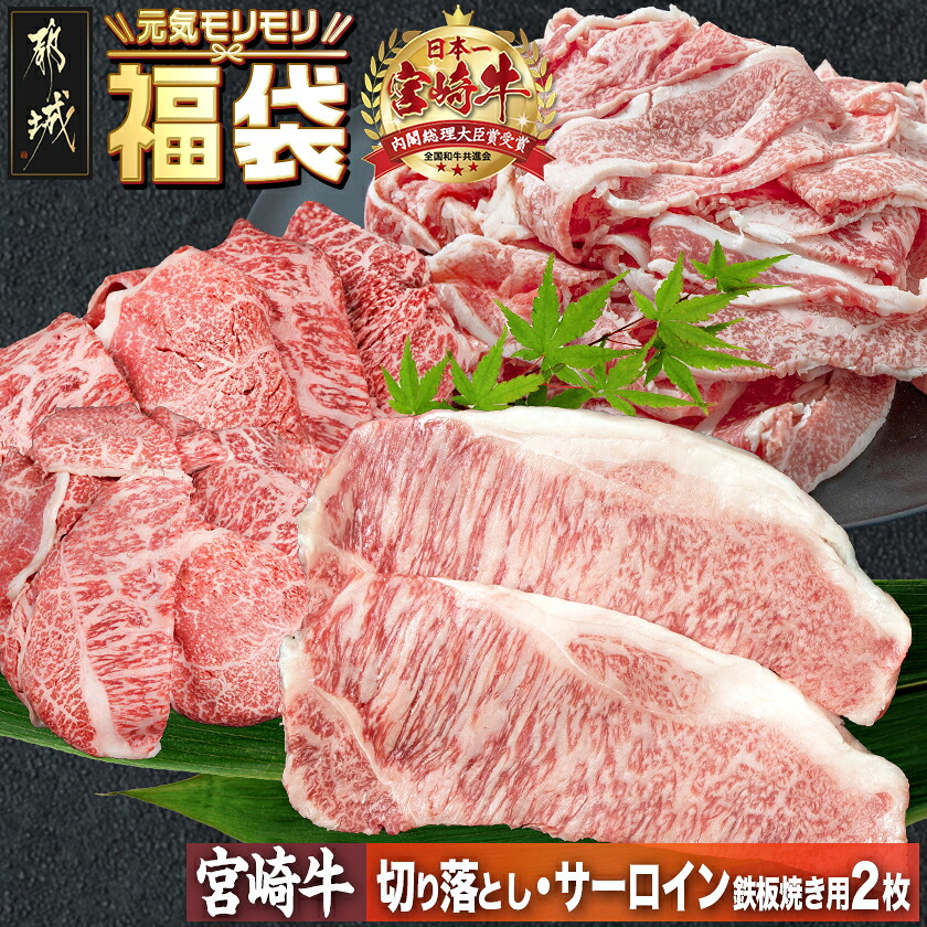 【ふるさと納税】【元気モリモリ福袋】宮崎牛切り落とし・鉄板焼き用サーロイン2枚セット - ブランド牛肉 牛バラ切り落とし肉/牛ウデ・牛モモ切り落とし肉 各500g 送料無料 AE-2501【宮崎県都城市は2年連続ふるさと納税日本一！】｜宮崎県都城市