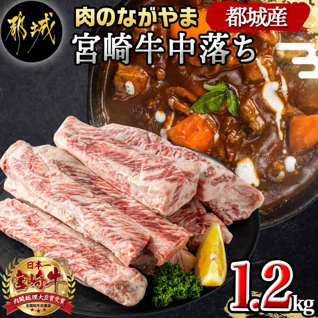 【【ふるさと納税】都城産宮崎牛中落ち1.2kg 宮崎県産宮崎牛牛肉 都城市産 A4ランク以上 牛中落ち肉(600g×2パック) 牛中落ち カルビ ゲタ 中バラ 国産 牛バラ肉 送料無料 MJ-2509【宮崎県都城市は令和4年度ふるさと納税日本一！】 宮崎県都城市