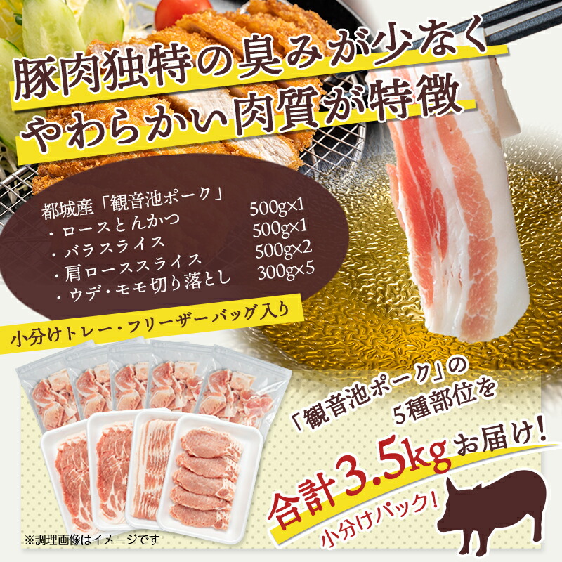 偉大な 宮崎県産豚肉 5種 ロースバラ 3kg セット 冷凍 送料無料 fucoa.cl