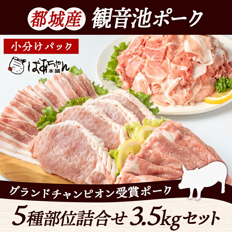 偉大な 宮崎県産豚肉 5種 ロースバラ 3kg セット 冷凍 送料無料 fucoa.cl