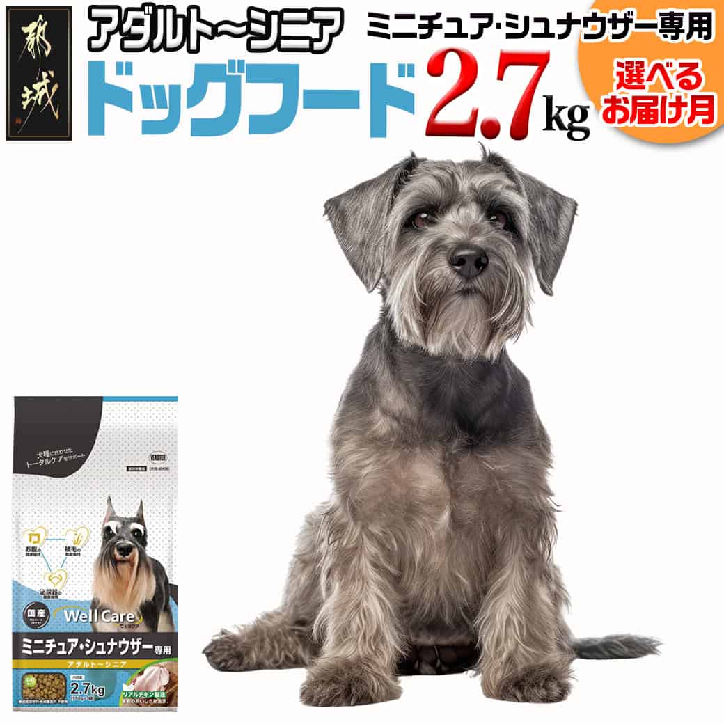 一生懸命の商行為者傍若無人！やり始める！