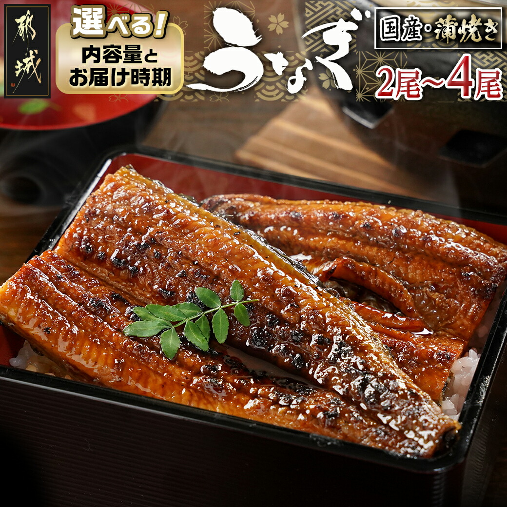 【ふるさと納税】【内容量＆発送時期が選べる！】職人手焼きの本格うなぎ蒲焼き - 鰻蒲焼 特製たれ 国産 2尾/3尾/4尾 10日以内お届け/翌月お届け お届け時期が選べる うなぎ 父の日 丑の日 お中元 敬老の日 送料無料 SKU-3312【宮崎県都城市は2年連続ふるさと納税日本一！】