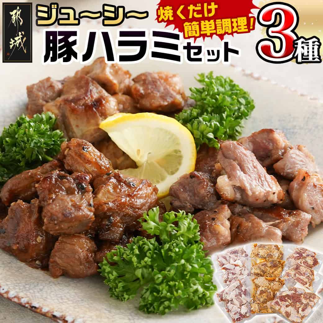 【ふるさと納税】ジューシー豚ハラミ3種セット≪塩胡椒・味噌・にんにく醤油≫ - 豚ハラミ ふっくら ジューシー 味付き 豚肉 希少部位 塩胡椒 味噌 にんにく醤油 送料無料 11-9202 【宮崎県都城市は2年連続ふるさと納税日本一！】