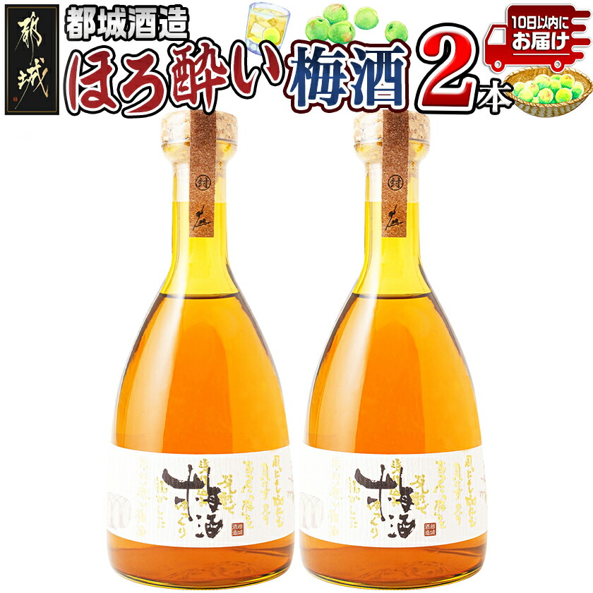【ふるさと納税】都城酒造 ほろ酔い梅酒2本≪みやこんじょ特急便≫ - プレミアム梅酒 14度 500ml 2本 都城酒造 梅酒 ほろよい 国産梅使用 送料無料 AO-6701 【宮崎県都城市は2年連続ふるさと納税日本一！】
