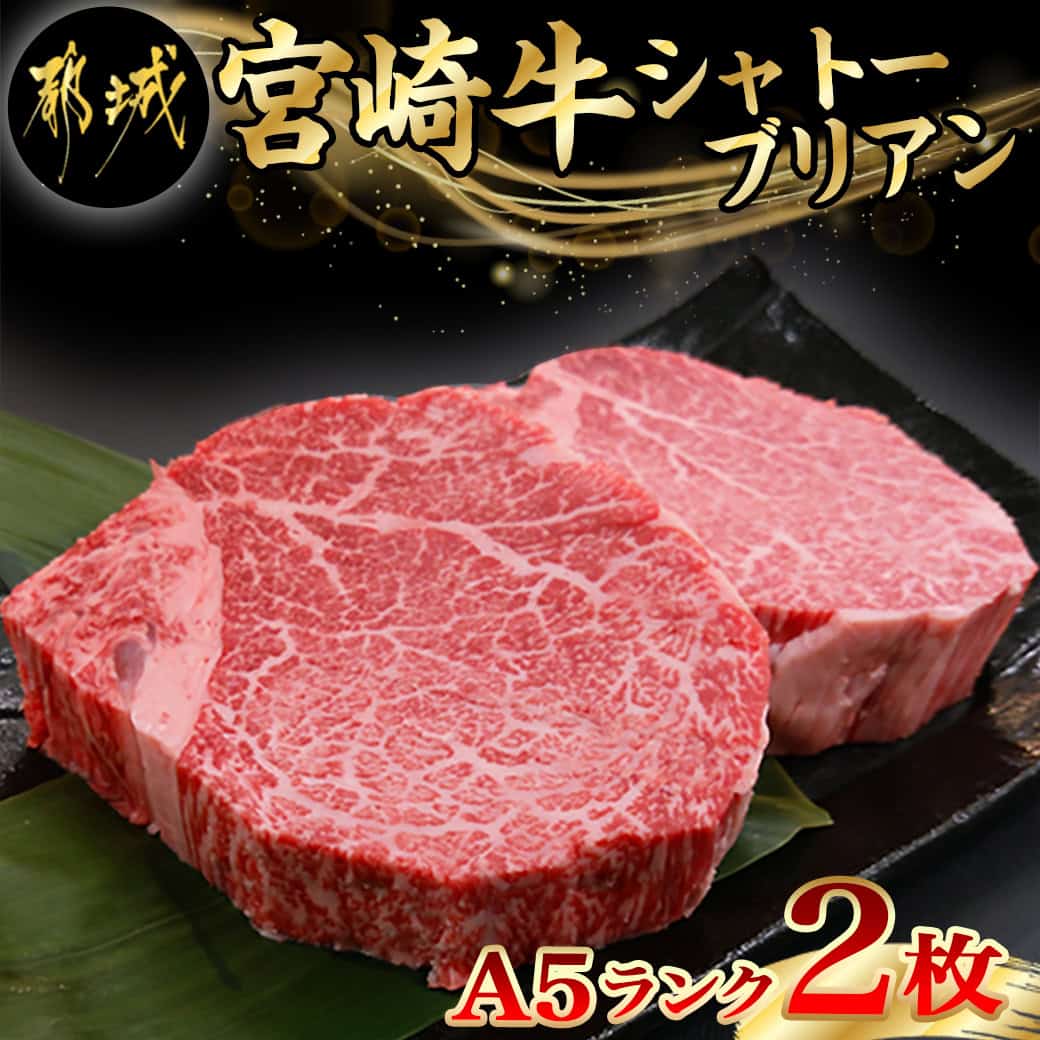 【ふるさと納税】宮崎牛シャトーブリアン(A5)150g×2枚≪真空≫ - 都城産宮崎牛 国産牛肉 ビーフステーキ ステーキソース小袋 塩こしょう小袋 ギフト 贈答用 父の日 お中元 敬老の日 送料無料 AI-0103【宮崎県都城市は2年連続ふるさと納税日本一！】