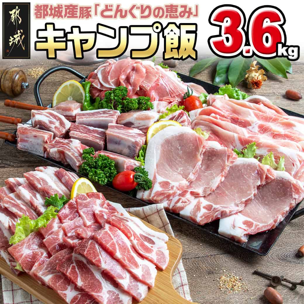 【ふるさと納税】「どんぐりの恵み豚」キャンプ飯3.6kgセット - 都城産 豚肉 どんぐりの恵み 食べきりサイズ 真空包装 キャンプ BBQ 焼肉 送料無料 17-1104【宮崎県都城市は2年連続ふるさと納税日本一！】