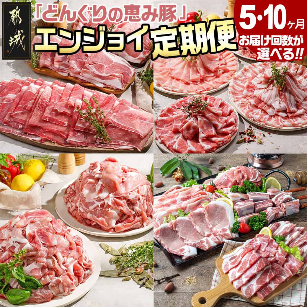 【ふるさと納税】【お届け回数が選べる！】「どんぐりの恵み豚」エンジョイ定期便 - 万能スライス/キャンプ飯/こま切れ 豚肉 ロース バラ モモ ウデ スライス スペアリブ 切り落とし ステーキ しゃぶしゃぶ セット 5ヶ月/10ヶ月 送料無料 SKUT-1101【宮崎県都城市】