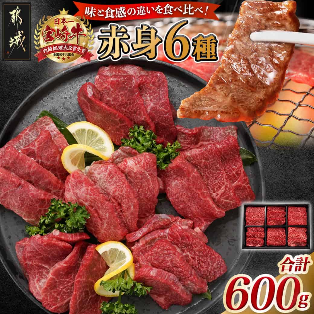 【ふるさと納税】宮崎牛赤身6種600g - 牛肉 ウデミスジ/ウデ三角/ウデクリ/とうがらし/ウデ赤身/ウデカルビ 宮崎牛焼肉 赤身部位 ギフト 贈答用 焼き肉 お中元 敬老の日 送料無料 16-2601【宮崎県都城市は2年連続ふるさと納税日本一！】
