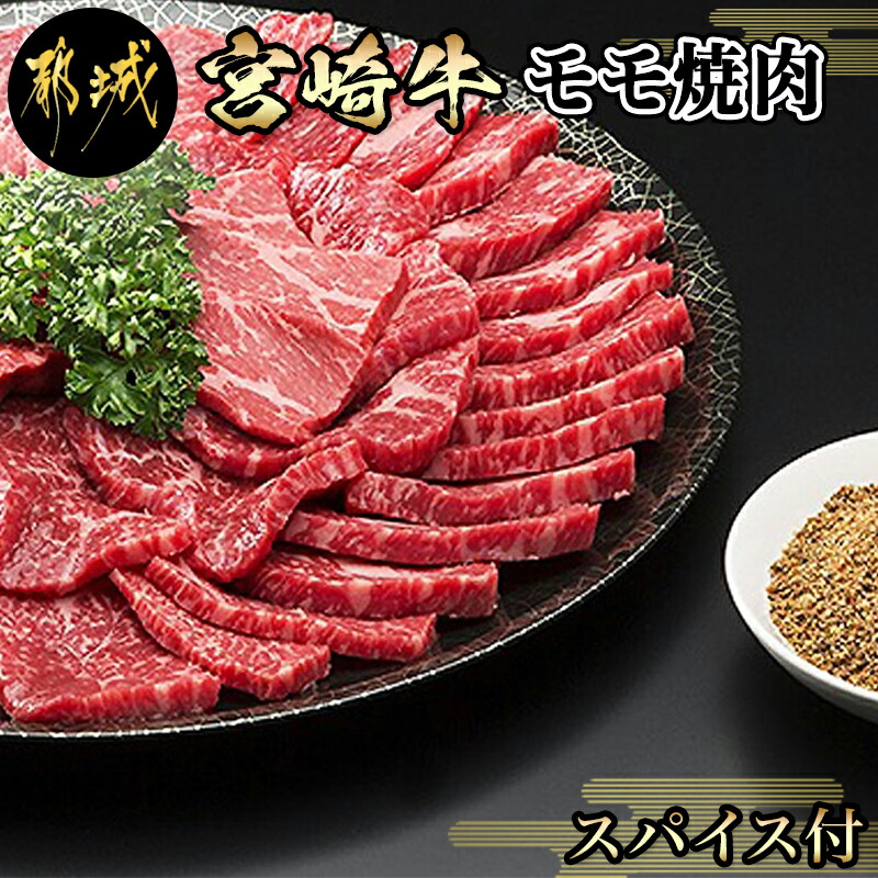 ふるさと納税 都城市 都城産宮崎牛ヒレブロック肉約700g 本日限定