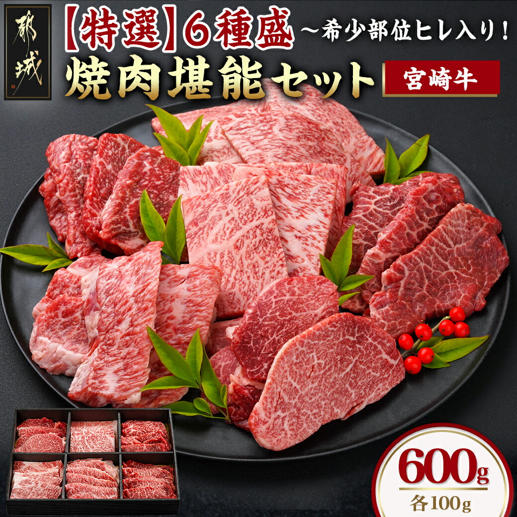 【ふるさと納税】≪希少部位ヒレ入り！≫ 宮崎牛【特選】6種盛 焼肉堪能セット 600g - 宮崎県産宮崎牛 焼肉6種盛 各100g ロース 肩ロース ヒレ ウデ バラ モモ 国産牛 ギフト 贈答用 送料無料 24-6502【宮崎県都城市は2年連続ふるさと納税日本一！】