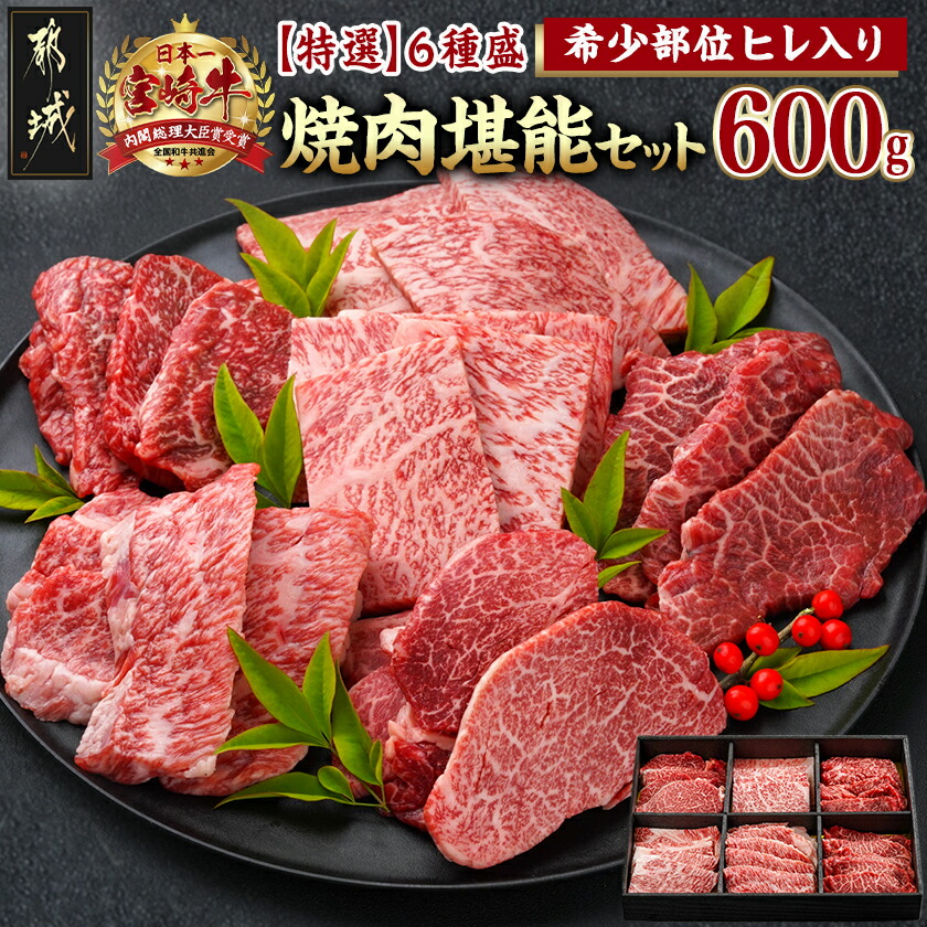 【ふるさと納税】≪希少部位ヒレ入り！≫ 宮崎牛【特選】6種盛 焼肉堪能セット 600g - 宮崎県産宮崎牛 焼肉6種盛 各100g ロース 肩ロース ヒレ ウデ バラ モモ 国産牛 ギフト 贈答用 送料無料 24-6502【宮崎県都城市は2年連続ふるさと納税日本一！】