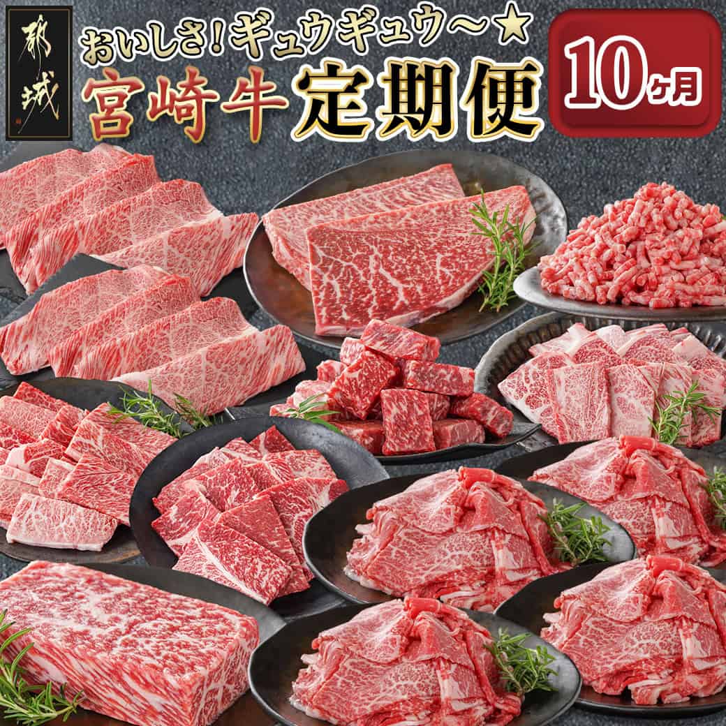 【ふるさと納税】おいしさギュウギュウ♪宮崎牛定期便(10ヶ月) - お肉の定期便 ブランド牛 宮崎牛 スライス/焼肉/ステーキ/ミンチ 赤身肉 霜降り肉 食べ比べ 堪能 全10回 毎月 連続 セット 食べ比べ 送料無料 T190-10-6501 【宮崎県都城市は2年連続ふるさと納税日本一！】