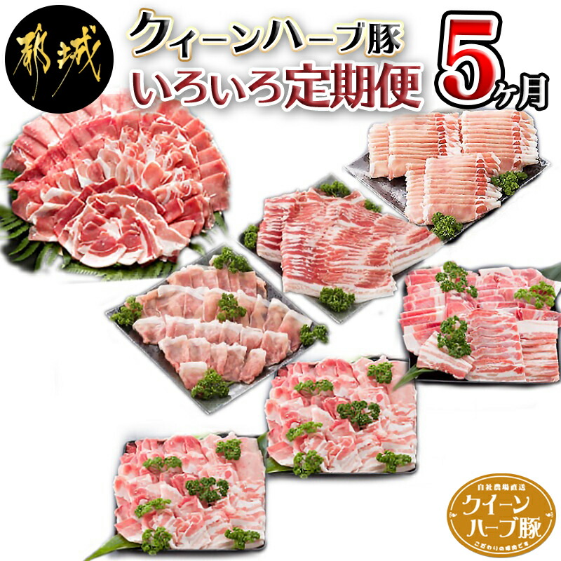 開催中 クイーンハーブ豚 のいろいろ定期便 5ヶ月 毎月お届け 月1回 豚肉の色々な部位やカットをセットでお届け スライス しゃぶしゃぶ用 とんかつ 用 焼肉用 ミンチ 豚バラ ロースなど 送料無料 T60-2903