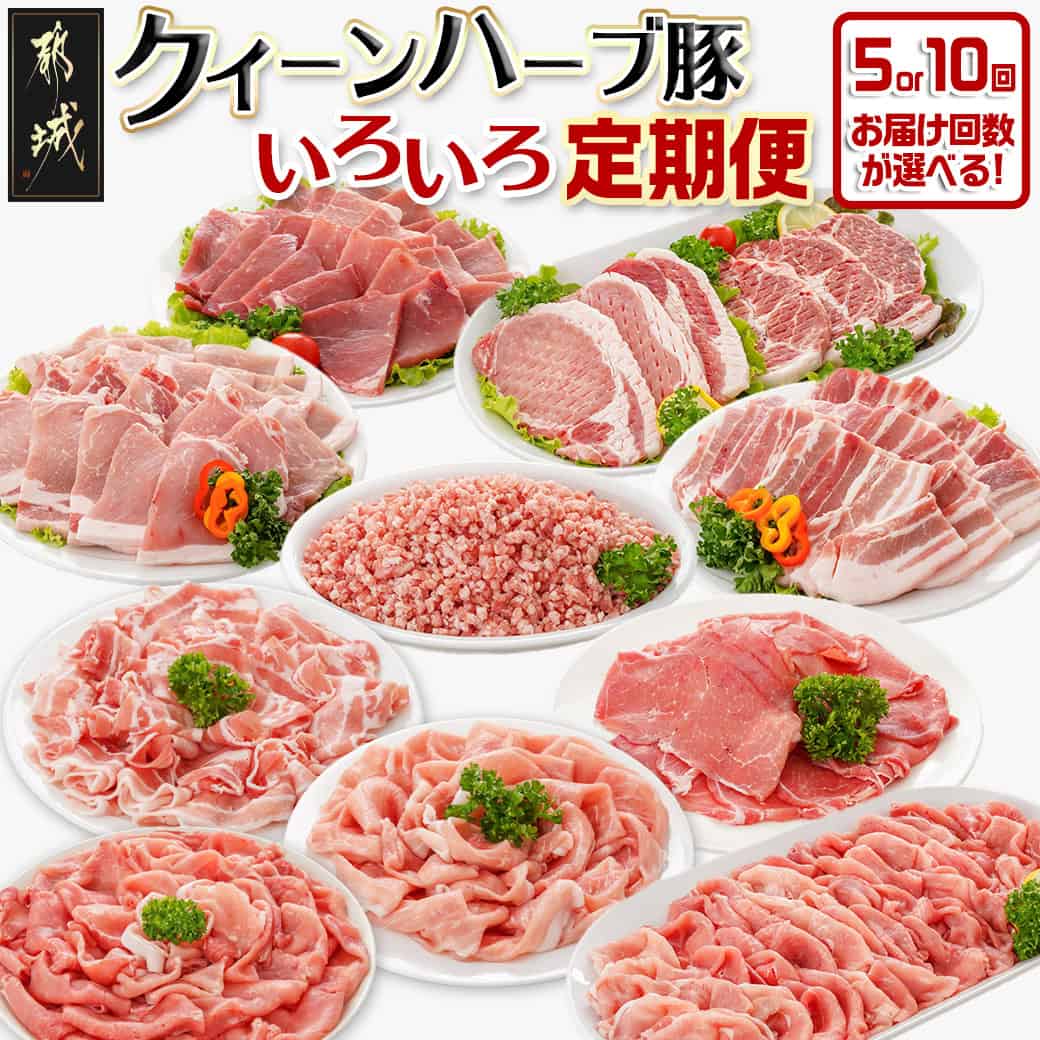 【ふるさと納税】【お届け回数が選べる！】「クイーンハーブ豚」のいろいろ定期便 - 毎月お届け(月1回) スライス しゃぶしゃぶ用 とんかつ用 焼肉用 ミンチ 豚バラ ロースなど 5ヶ月/10ヶ月 豚肉 定期便 送料無料 SKUT-2901【宮崎県都城市は2年連続ふるさと納税日本一！】
