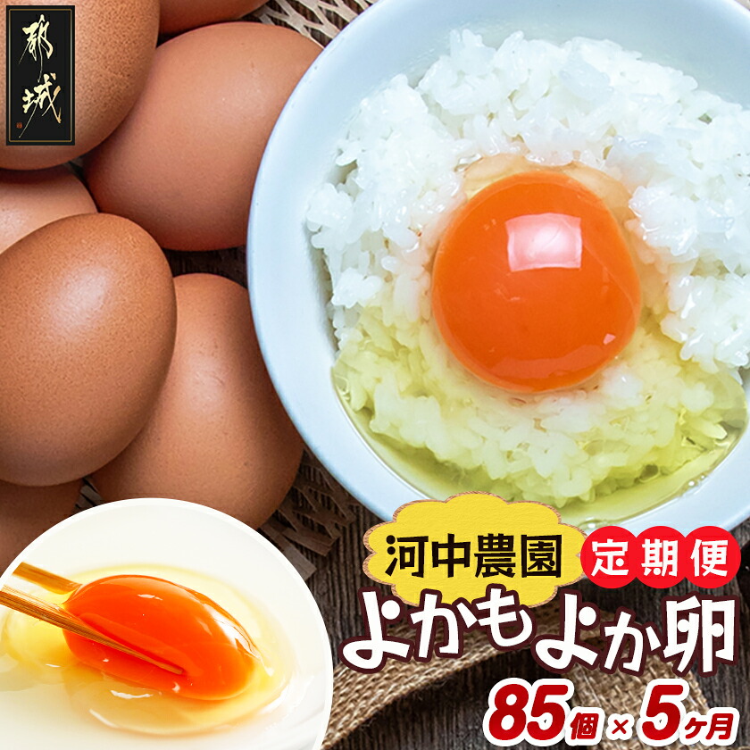 【ふるさと納税】よかもよか卵85個の定期便(5ヶ月) - 鶏卵 赤卵 よかもよか卵 Mサイズ 85個 約5kg たまご タマゴ 5回定期便 5ヶ月間連続 きみ恋卵の進化系 破損補償5個 味が濃い まろやか けいらん 送料無料 T85-5-29-010-85 【宮崎県都城市は2年連続ふるさと納税日本一！】｜宮崎県都城市