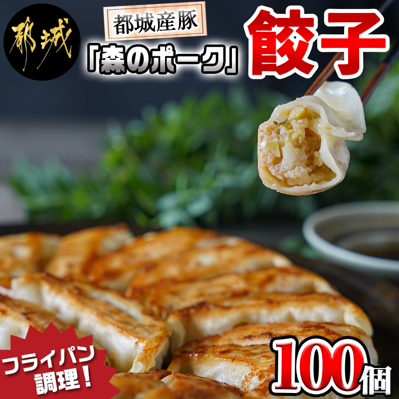 市場 ふるさと納税 都城産豚 森のポーク餃子 20個×5P 餃子100個 ニンニクに天然無臭化食材を配合したガーリックペースト - 森のポーク