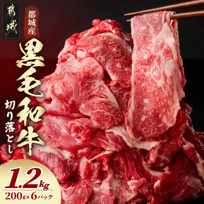 【ふるさと納税】黒毛和牛切り落とし1.2kg - 都城産黒毛和牛 切り落とし 200g×6P ネック・スネ・ブリスケ使用 200gずつの小分けパック 炒め物 煮込み料理 送料無料 16-7701 【宮崎県都城市は2年連続ふるさと納税日本一！】