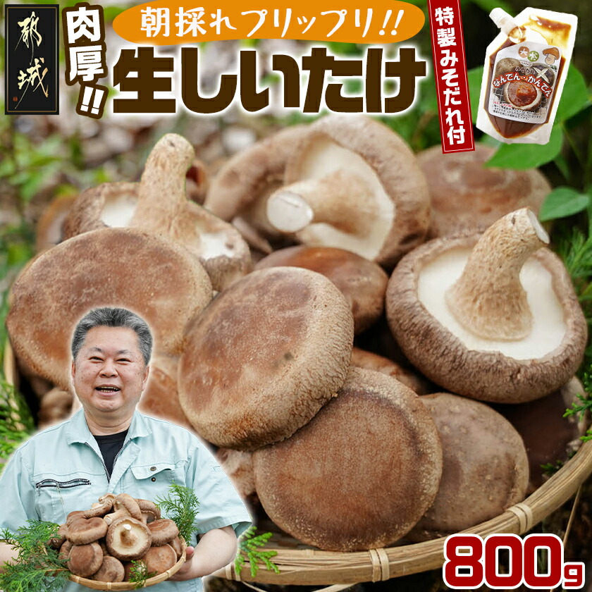 【ふるさと納税】都城産朝採れ肉厚生しいたけ - 特製みそだれ付き 朝採れ生椎茸 どんこ椎茸 贈り物・ギフトにも 国産 宮崎県産 チーズとも相性抜群 山之口町産 冷蔵保存/冷凍保存可 送料無料 AA-8701【宮崎県都城市は2年連続ふるさと納税日本一！】