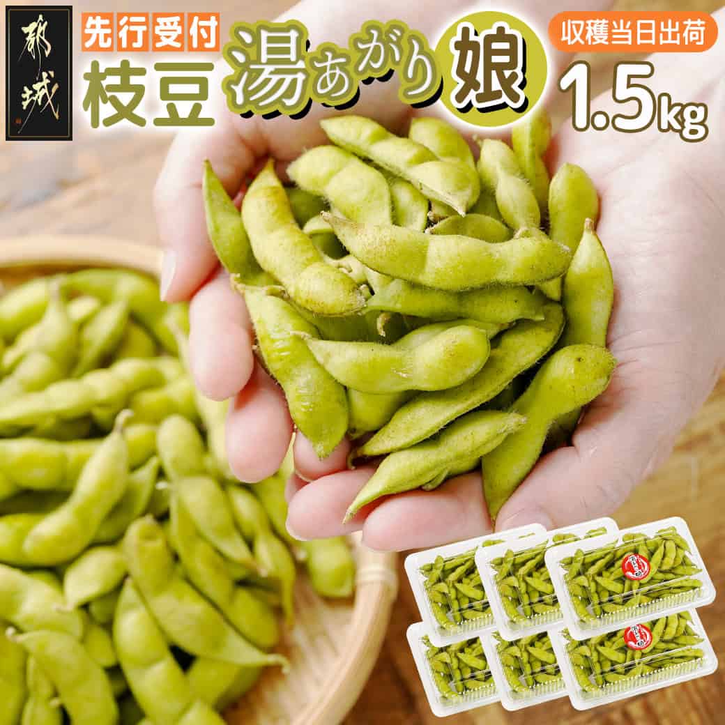 【ふるさと納税】【先行受付！】都城産枝豆(湯あがり娘)1.5kg(250g×6P) - 都城産枝豆 湯あがり娘 1.5kg おつまみ 産地直送 朝どれ 冷蔵配送 えだまめ 国産 生 小分け 送料無料 11-B402-7 【宮崎県都城市は2年連続ふるさと納税日本一！】