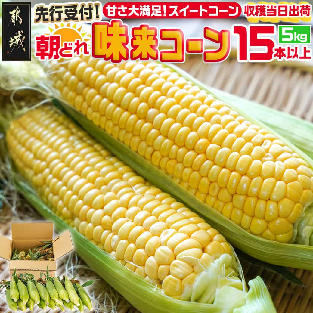 【ふるさと納税】【先行受付！】朝どれ！！都城産スイートコーン(味来コーン)5kg 15本以上 - 朝どれ直送のとうもろこし スイートコーン 5キロ 約15本以上 みずみずしい あまい 産地直送 先行受付 送料無料 11-B401-6【宮崎県都城市は2年連続ふるさと納税日本一！】