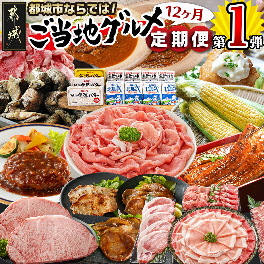 ふるさと納税】【セレクト定期便】第1弾☆都城市ご当地グルメ定期便(12 