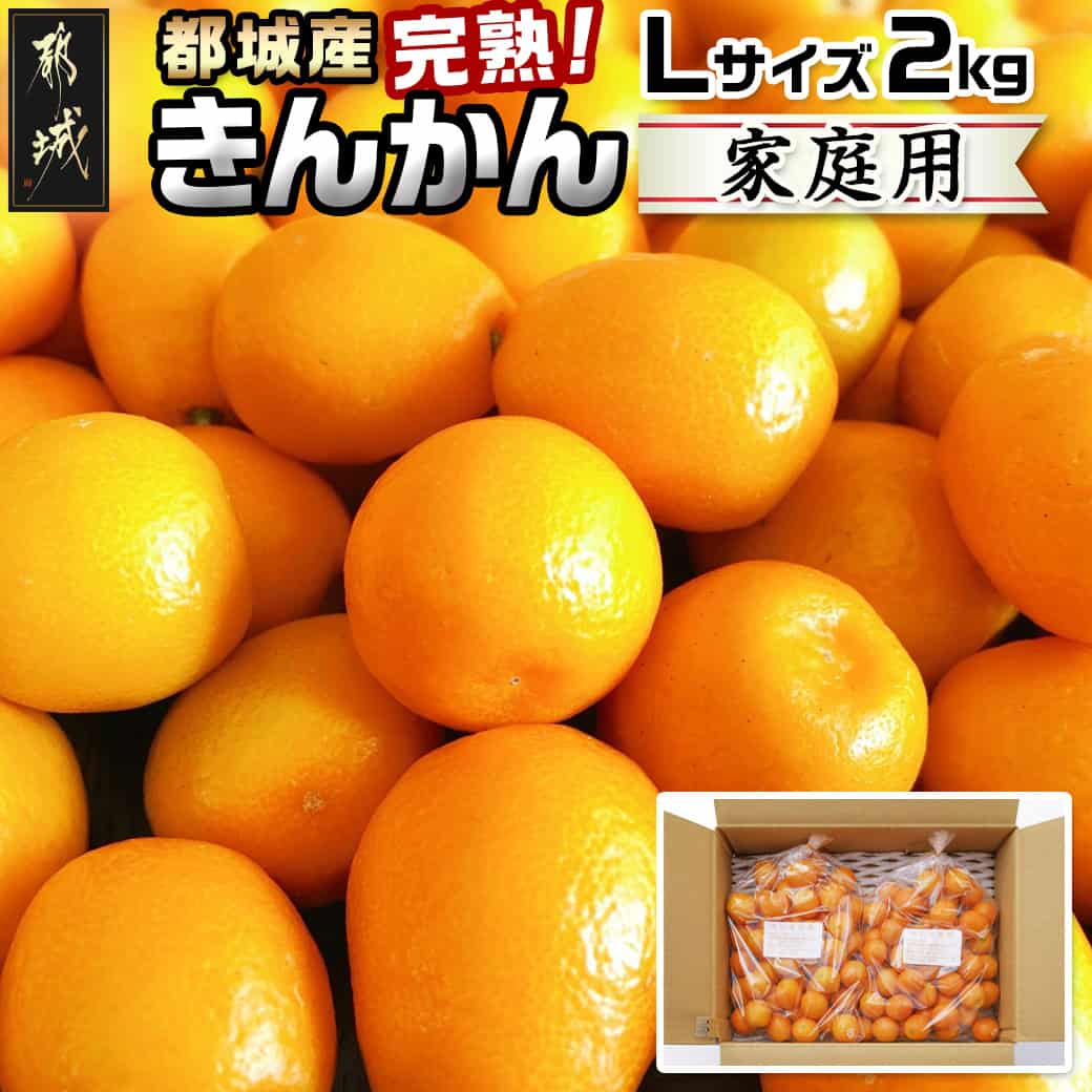 金柑 楽天市場】【ふるさと納税】《先行予約！》 完熟きんかん