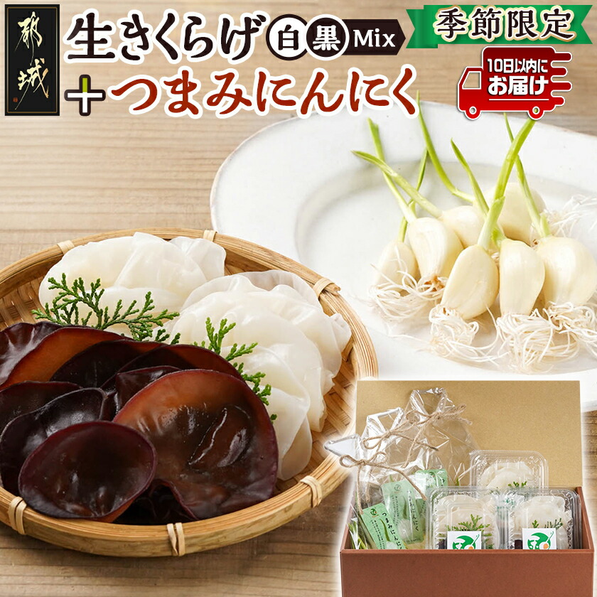 【ふるさと納税】≪季節限定！≫ぷりぷり食感の生きくらげ(白＆黒Mix)＋つまみにんにくセット≪みやこんじょ特急便≫ - 国産 生きくらげ 黒いきくらげ 白いきくらげ つまみにんにく 都城産 冷蔵配送  送料無料 11-C902-Q 【宮崎県都城市は2年連続ふるさと納税日本一！】