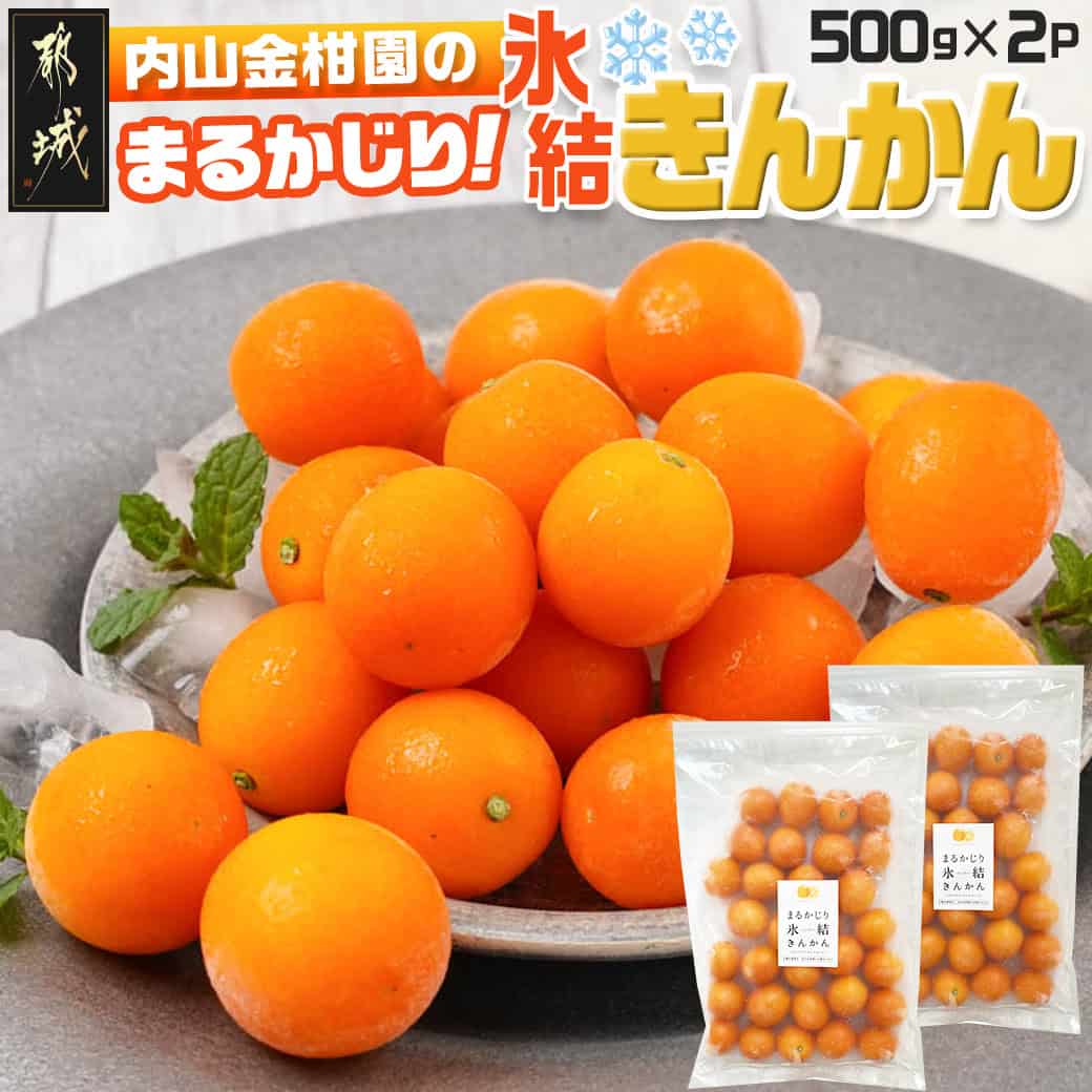 【ふるさと納税】【徳用】内山金柑園のまるかじり氷結きんかん1kg(500g×2P) - 果物 フルーツ 完熟きんかん 糖度16％以上 スイーツ おやつ 小分け 冷凍きんかん 急速冷凍 金柑 送料無料 12-J702 【宮崎県都城市は2年連続ふるさと納税日本一！】