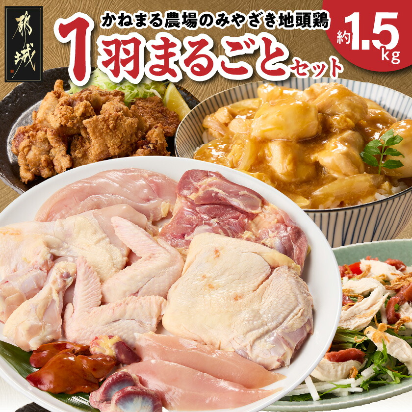【ふるさと納税】かねまる農場のみやざき地頭鶏1羽まるごとセット - みやざき地頭鶏 地鶏 モモ肉 ムネ肉 ササミ 手羽先 手羽元 砂肝 レバー 平飼い じどっこ 鶏ガラ付き 真空パックで新鮮 8部位 おつまみ 送料無料 MJ-J705 【宮崎県都城市は2年連続ふるさと納税日本一!】
