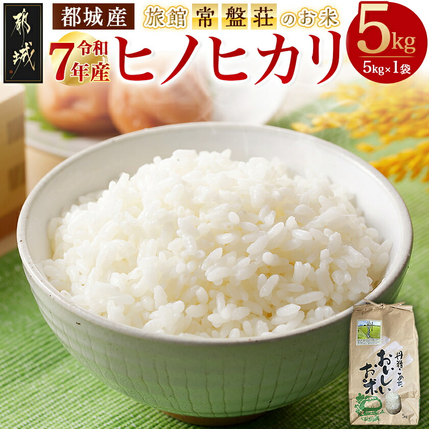 楽天市場】【ふるさと納税】【内容量が選べる！】都城市高崎町産ひの