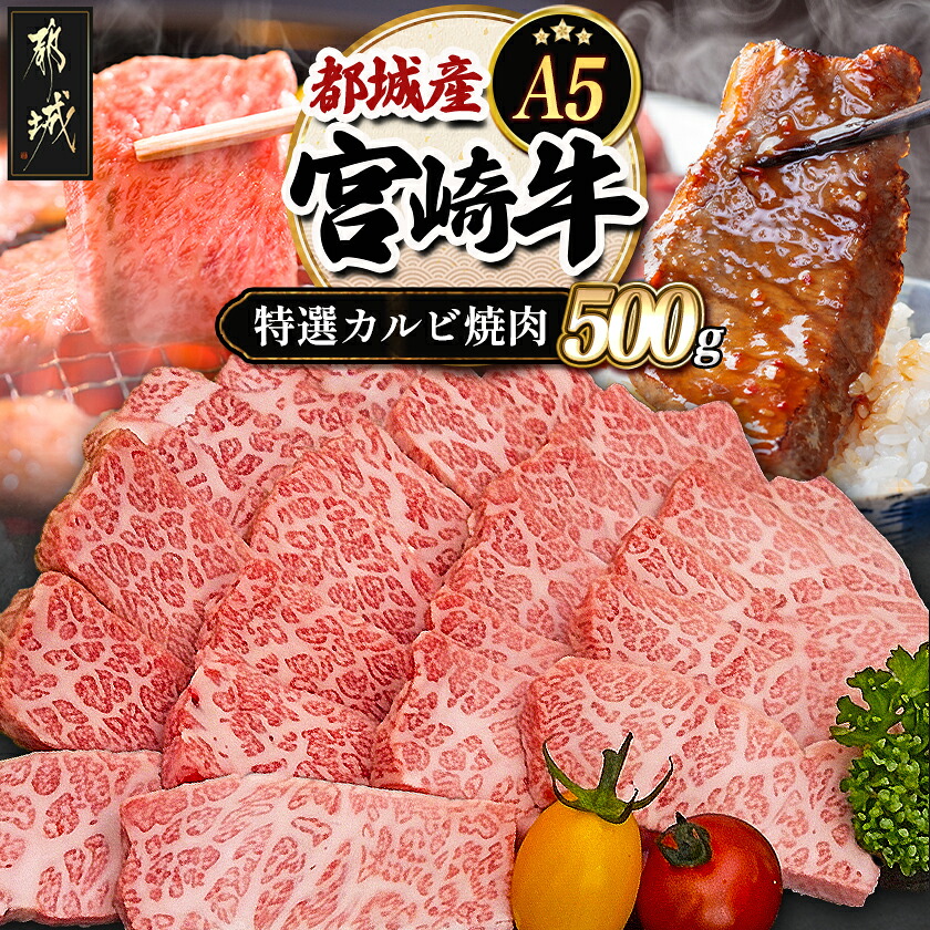 【ふるさと納税】都城産宮崎牛特選カルビ焼肉(A5) - 牛肉 A5等級の宮崎牛 特選カルビ焼肉(500g) A5ランク 最高級の国産黒毛和牛 最上級の霜降り牛肉 焼き肉/バーベキュー/鉄板焼きにどうぞ 送料無料 AD-A0-003【宮崎県都城市は2年連続ふるさと納税日本一！】｜宮崎県都城市