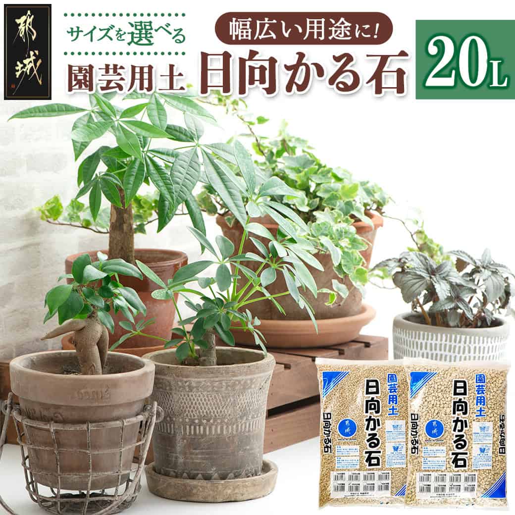 真面目さの商行為者傍若無人！乗り掛かる！