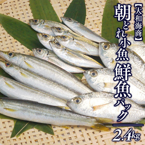 【楽天市場】【ふるさと納税】【単月お届け】大和海商の朝どれ鮮魚小魚パック 2.4kg アジ カマス イワシ 鱗・内臓処理済 旬 国産 宮崎県延岡市 送料無料:宮崎県延岡市