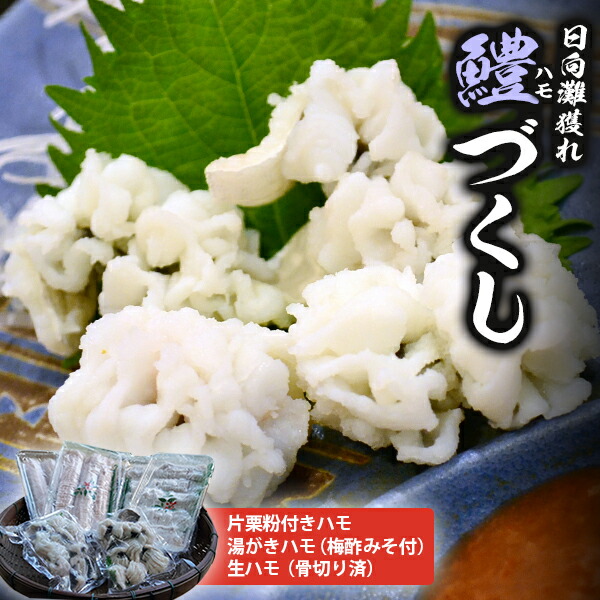 【ふるさと納税】【宮崎県延岡市産】日向灘のハモづくし　３種セット　鱧　国産 宮崎県延岡市 冷凍便 鮮魚 海鮮 料亭 職人による骨切り済 送料無料