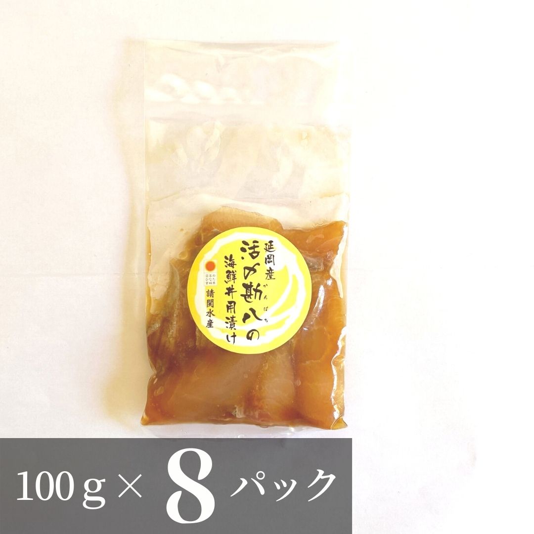 ふるさと納税 凍る 活〆日向灘かんぱち漬け丼 100g 8鞄 19 カンパチ セゾン 国産 請関水産 宮崎県延岡品評会 貨物輸送無料 Vned Org