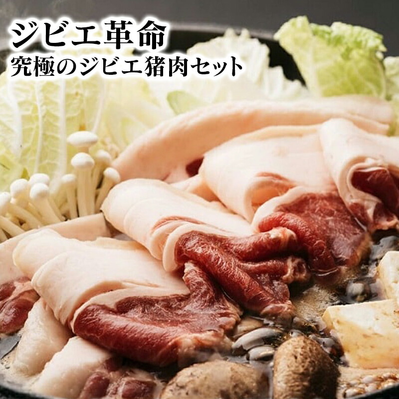 【ふるさと納税】ジビエ革命～究極のジビエ　猪肉セット　計６００g【マツダジビエ】