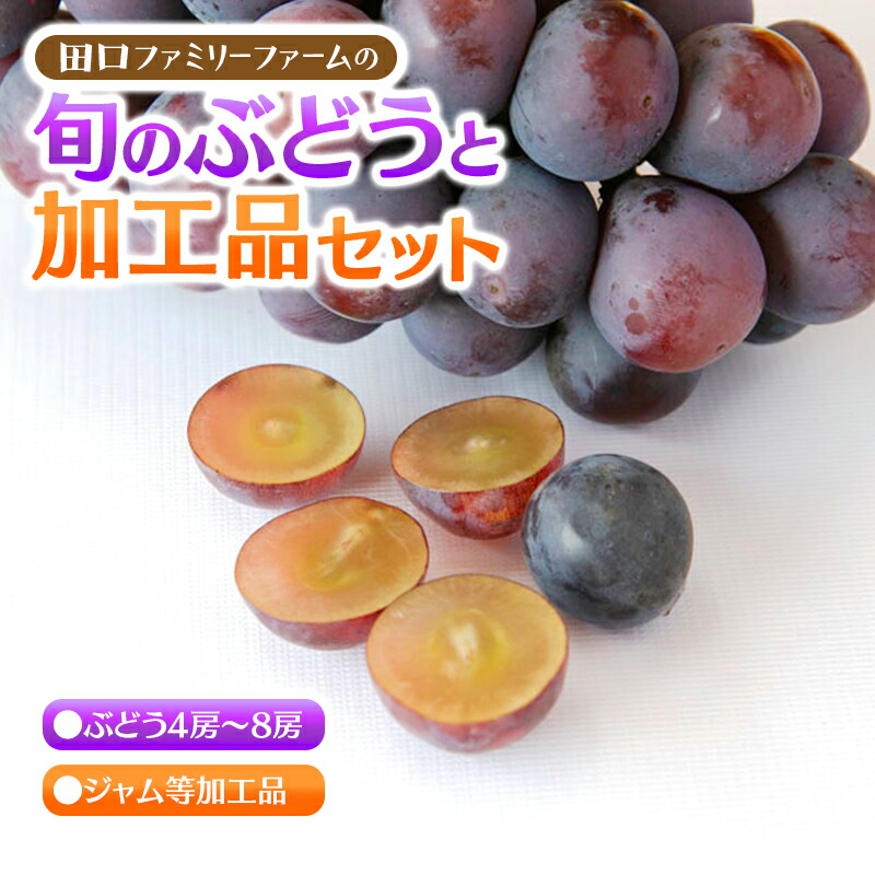 残りわずか C307 05 先行予約 田口ファミリーファームの旬のぶどうと加工品セット 21年7月下旬発送開始 果物 フルーツ 葡萄 ブドウ 国産 宮崎県延岡市 21春夏新色 Www Mutupelayanankesehatan Net