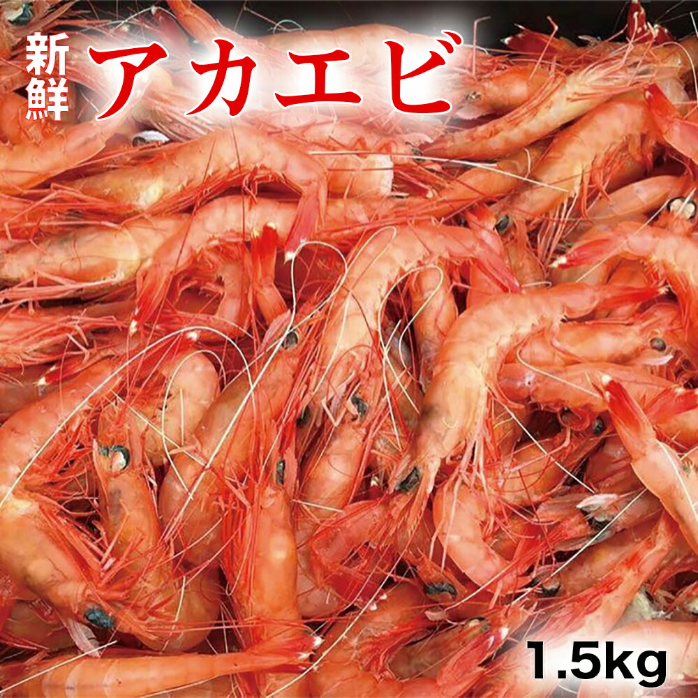 【楽天市場】【ふるさと納税】アカエビ　1.5kg　宮崎県延岡市　冷凍　送料無料：宮崎県延岡市