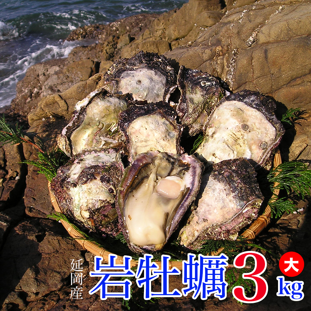 【ふるさと納税】延岡産天然岩牡蠣（生食用）3kg（大）（2020年4月から発送開始）