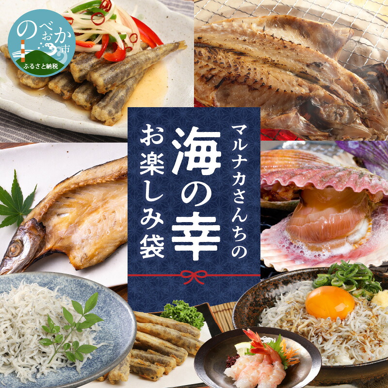 【ふるさと納税】【マルナカ海産】海の幸お楽しみ袋 ヒオウギ貝 甘エビ アジ カマス アカスエビ エビ メヒカリ 魚介類 アジ開き カマス開き 干物 加工品 日向灘 延岡産 宮崎県延岡市 産地直送 送料無料｜宮崎県延岡市